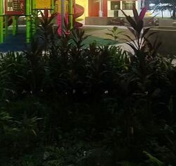 Blk 195 Rivervale Drive (Sengkang), HDB 4 Rooms #593106471